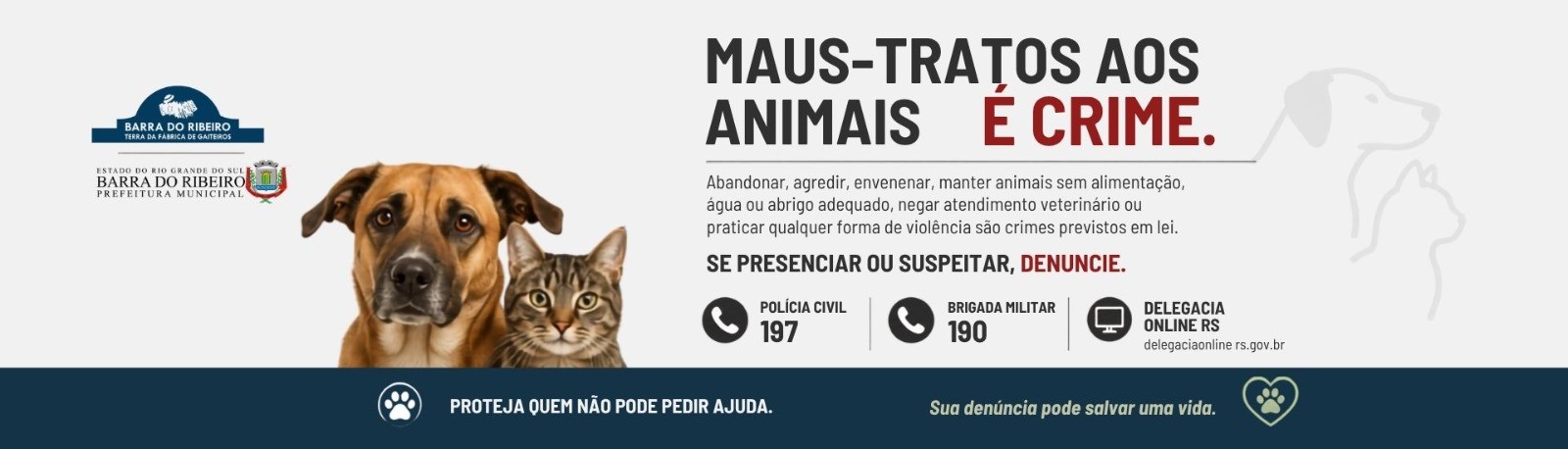Maus tratos aos animais
