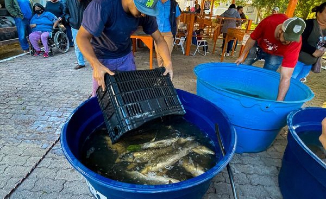 Feira do Peixe Vivo
